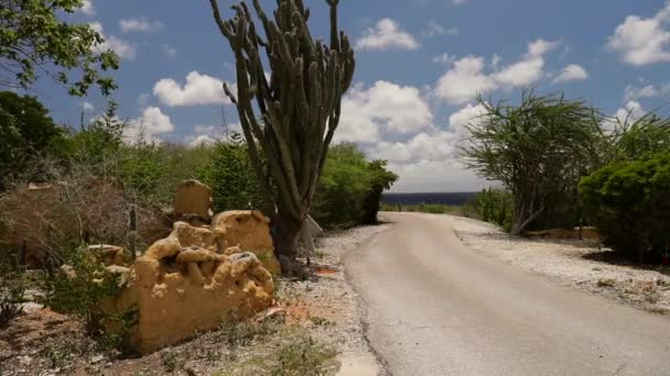 Zřícenina Staré Plantáže Karpata Bonaire — Stock video