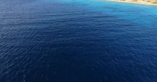 Flying Caribbean Sea — Stock Video