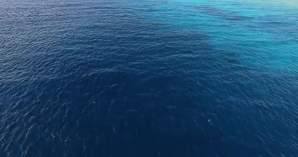 Πετώντας Πάνω Από Την Καραϊβική Θάλασσα — Αρχείο Βίντεο