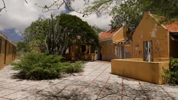 Ruïnes Van Oude Plantage Karpata Bonaire — Stockvideo