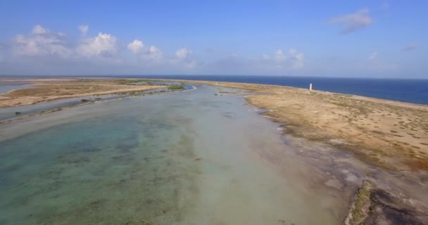 Bonaire Nin Deniz Feneri Tuz Kapları — Stok video