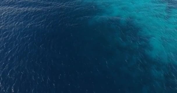 Flying Caribbean Sea — Stock Video