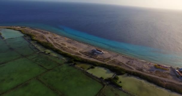 Bonaire Nin Anıtları Köle Kulübeleri — Stok video