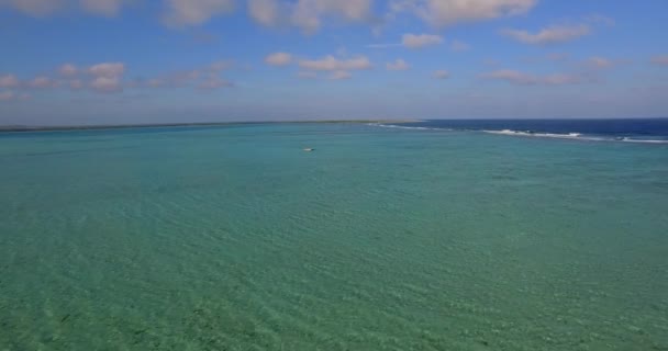 オランダのボネール島にあるLac Bayのラグーンとマングローブ 空中射撃 — ストック動画