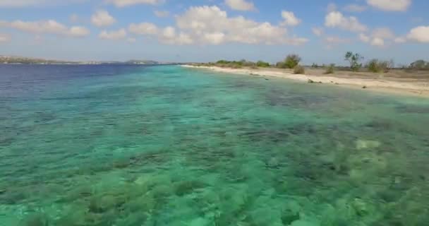Küçük Issız Ada Klein Bonaire — Stok video