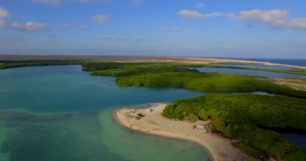 Die Lagune Und Mangroven Von Lac Bay Bonaire Niederländische Antillen — Stockvideo