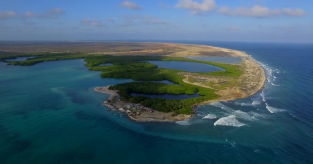 Lagunen Och Mangroven Lac Bay Bonaire Nederländska Antillerna Flygskott — Stockvideo