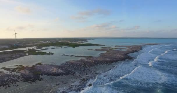 Lagunen Och Mangroven Lac Bay Bonaire Nederländska Antillerna Flygskott — Stockvideo