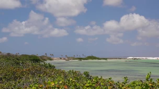 Roze Groene Zoutpannen Meren Van Bonaire — Stockvideo