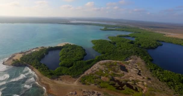 Lagune Mangroven Van Lac Bay Bonaire Nederlandse Antillen Luchtfoto — Stockvideo