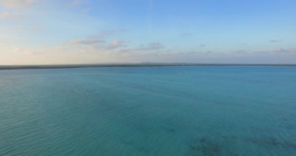 Lagunen Och Mangroven Lac Bay Bonaire Nederländska Antillerna Flygskott — Stockvideo