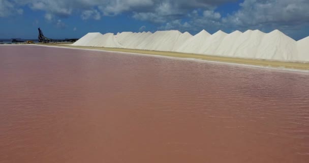 Salinas Bonaire — Vídeo de Stock