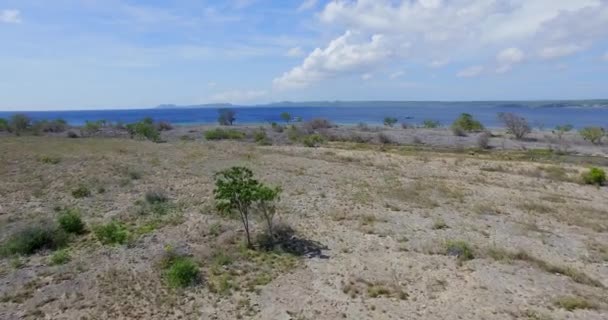 Petite Île Inhabitée Klein Bonaire — Video