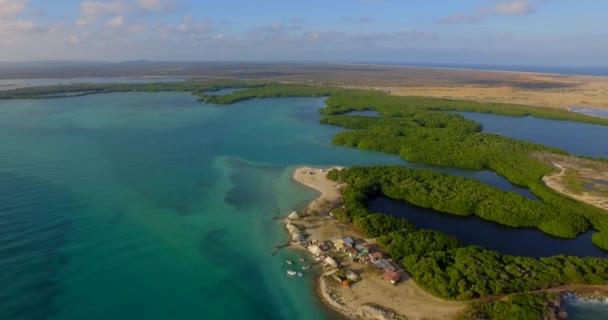 Laguna Los Manglares Lac Bay Bonaire Antillas Holandesas Disparo Aéreo — Vídeos de Stock