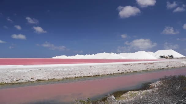 보네르의 분홍빛 호수들 — 비디오