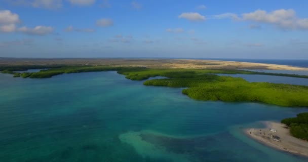 Laguna Los Manglares Lac Bay Bonaire Antillas Holandesas Disparo Aéreo — Vídeos de Stock