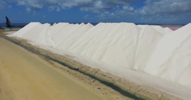 Las Salinas Bonaire — Vídeo de stock