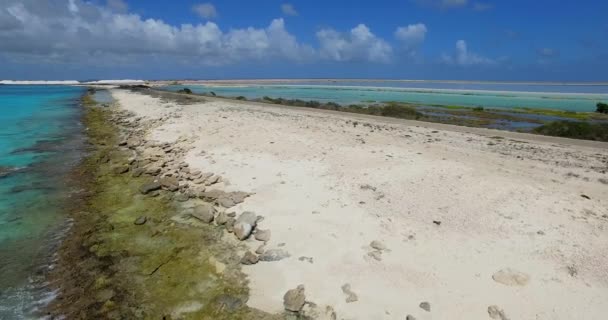 Old American Pickup Truck Driving Road Bonaire — Stock Video