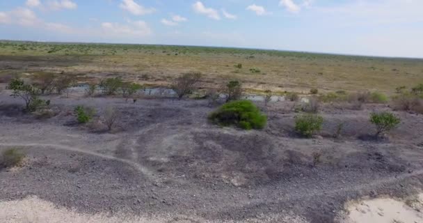 Pequeña Isla Deshabitada Klein Bonaire — Vídeo de stock