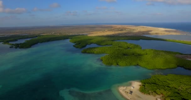 Laguna Los Manglares Lac Bay Bonaire Antillas Holandesas Disparo Aéreo — Vídeos de Stock