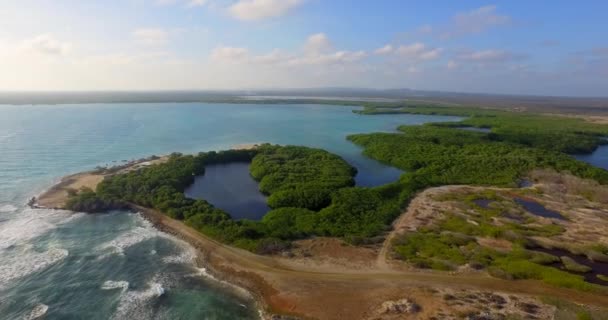 Die Lagune Und Mangroven Von Lac Bay Bonaire Niederländische Antillen — Stockvideo