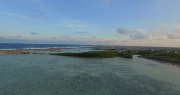 Lagoa Manguezais Lac Bay Bonaire Antilhas Holandesas Tiro Aéreo — Vídeo de Stock