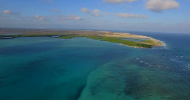 Lagune Mangroven Van Lac Bay Bonaire Nederlandse Antillen Luchtfoto — Stockvideo