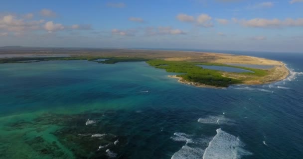 Lagoa Manguezais Lac Bay Bonaire Antilhas Holandesas Tiro Aéreo — Vídeo de Stock