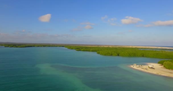 Lagune Les Mangroves Lac Bay Bonaire Aux Antilles Néerlandaises Plan — Video