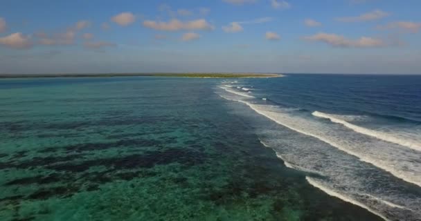 Laguna Los Manglares Lac Bay Bonaire Antillas Holandesas Disparo Aéreo — Vídeo de stock