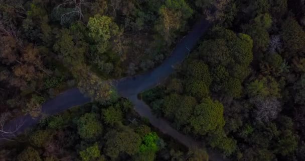 Aerial Tilt Hyperlapse Tlalpan Forest Lienzo Charro Del Pedregal South — Stock Video