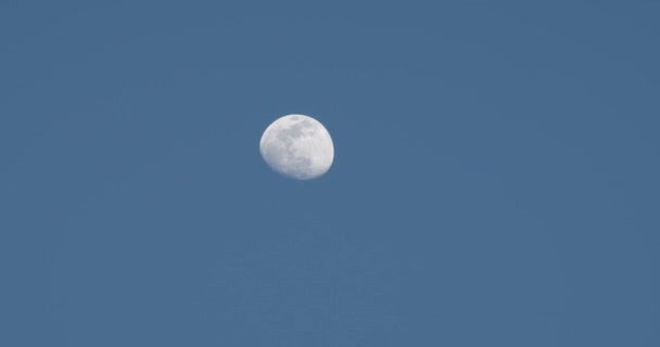 Lune Luit Contre Ciel Bleu Clair Fermez — Video