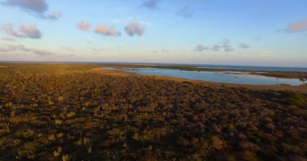 Los Manglares Lac Bay Atardecer Bonaire — Vídeos de Stock