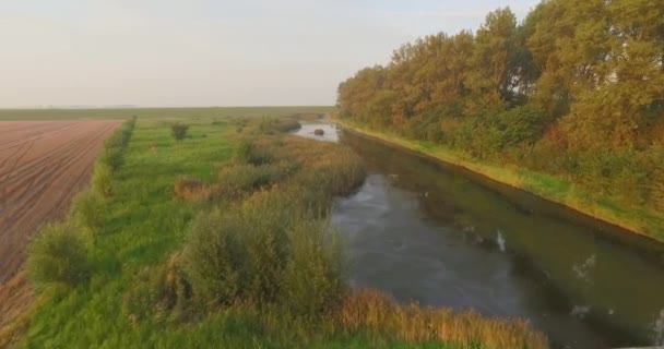 Antenne Deiche Und Küste Der Oosterschelde Niederlande Gefilmt Während Eines — Stockvideo