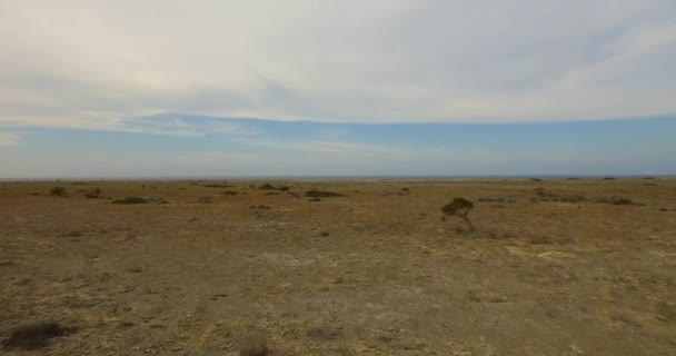 Désert Sec Comme Paysage Île Des Caraïbes Bonaire Plan Aérien — Video