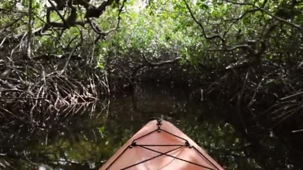 Bonaire Lac Bay Mangrovlarında Kano Yapıyorum — Stok video