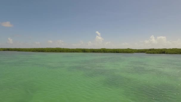 Bonaire Deki Lac Bay Mangrovlarından Geçiyorum — Stok video