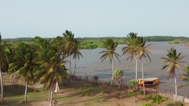 Aviação Kitesurf Delta Rio Parnaíba Norte Brasil — Vídeo de Stock