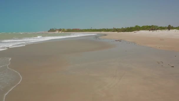 Воздушный Путешествие Кайтсерфингу Северной Бразилии Пляж — стоковое видео