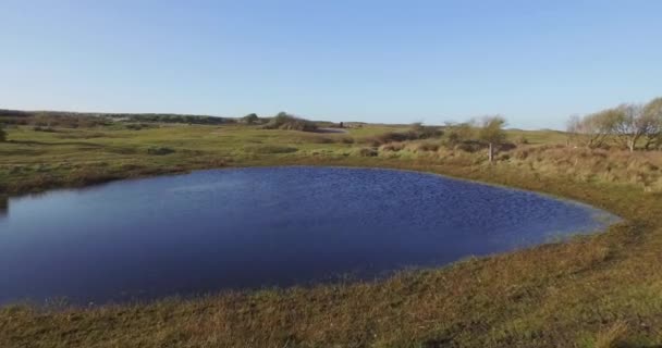 Luchtfoto Het Duinenreservaat Van Oostkapelle Met Grazende Pony — Stockvideo