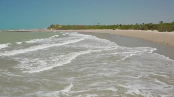 北ブラジルのキテスフ旅行 無人ビーチ — ストック動画