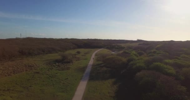 Aerial Φυσικό Καταφύγιο Των Αμμόλοφων Του Oostkapelle Βόσκηση Πόνυ — Αρχείο Βίντεο