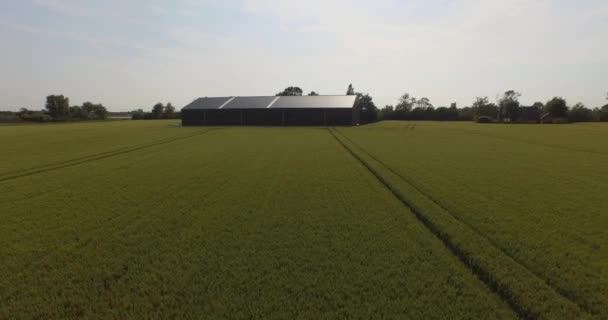 Εναέρια Γεωργική Και Αγρόκτημα Κοντά Στο Middelburg Κάτω Χώρες — Αρχείο Βίντεο
