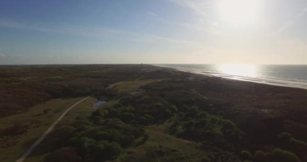 Aerial Dune Nature Reserve Oostkapelle Grazing Ponies — Stock Video