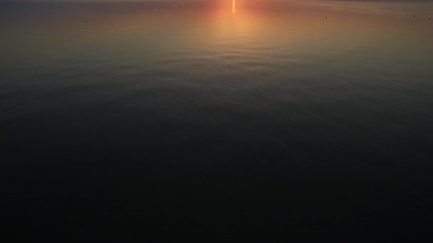 Aerial Beach Oosterschelde Storm Surge Barrier Summer Sunset — Stock Video