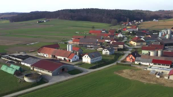 Central Europæisk Landsby Slovenien Blandet Bolig Landbrugslandskab Traditionelle Bondehuse Med – Stock-video