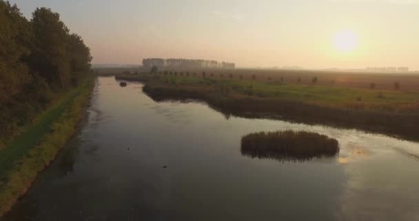 Luchtfoto Dijken Kustlijn Van Oosterschelde Opgenomen Tijdens Een Wazige Zonsondergang — Stockvideo