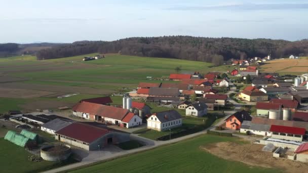 Ξενώνα Σαμαρινα Χωριό Στη Σλοβενία Κεντρική Ευρώπη Από Τον Αέρα — Αρχείο Βίντεο