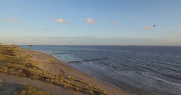 Aerial Plaża Pomiędzy Vlissingen Dishoek Podczas Zachodu Słońca — Wideo stockowe