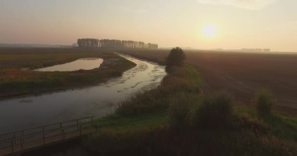 Antenne Deiche Und Küste Der Oosterschelde Niederlande Gefilmt Während Eines — Stockvideo